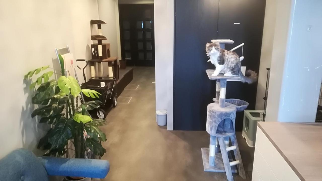 Cote Sakuragawa "Room 201,301,401" - Vacation Stay 03144V Osaka Zewnętrze zdjęcie